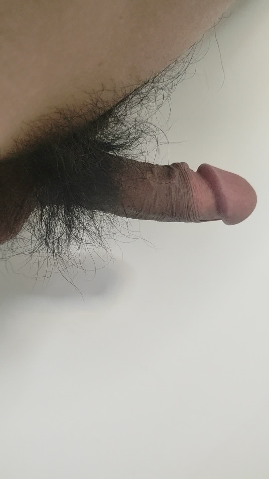 第一次发！！